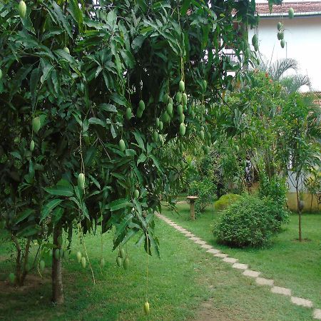 Talalla Secret Bay Hotel Matara Exterior foto