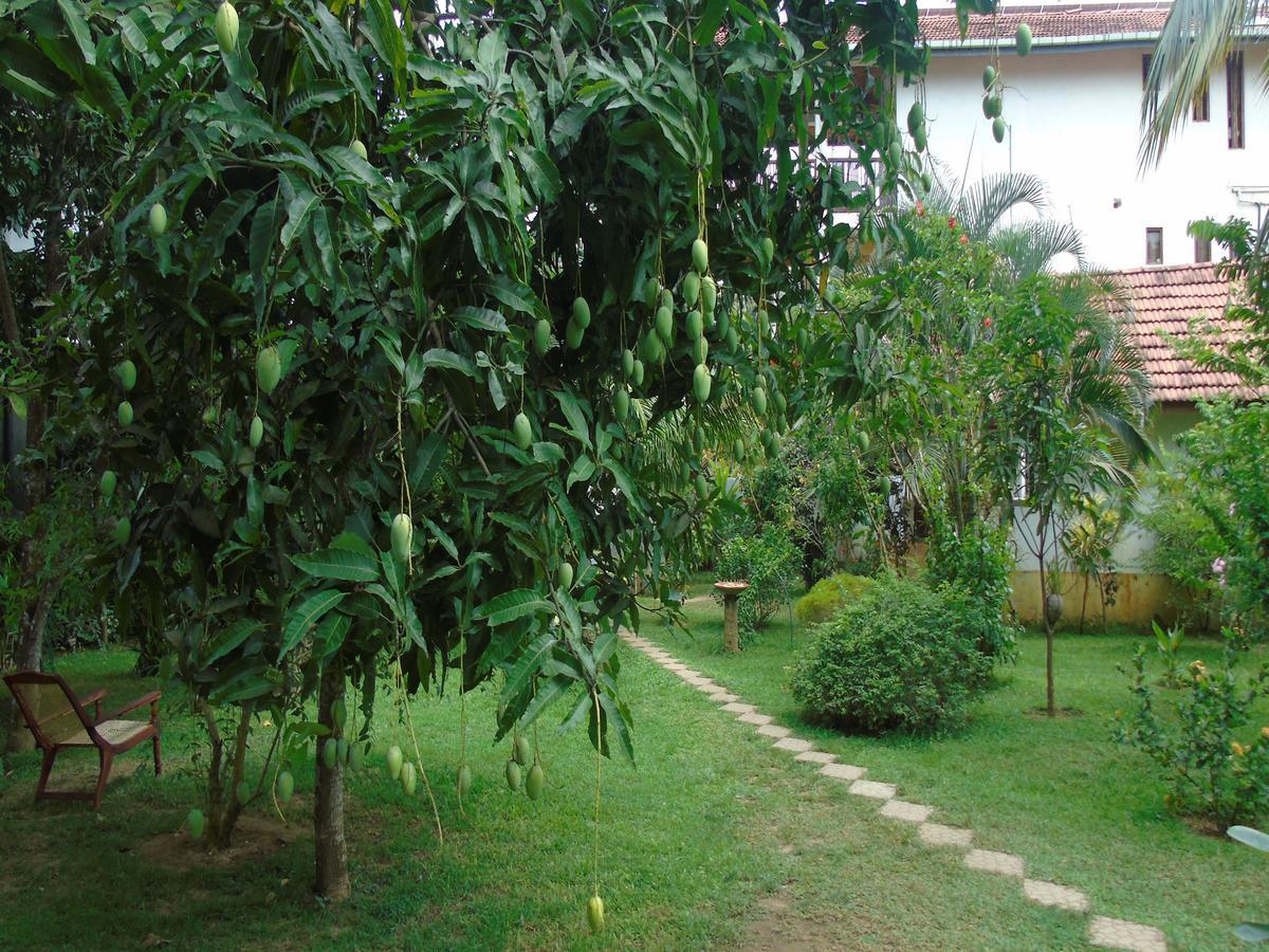 Talalla Secret Bay Hotel Matara Exterior foto