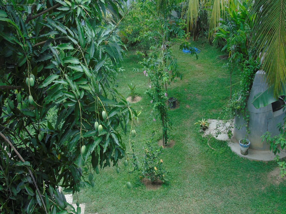 Talalla Secret Bay Hotel Matara Exterior foto
