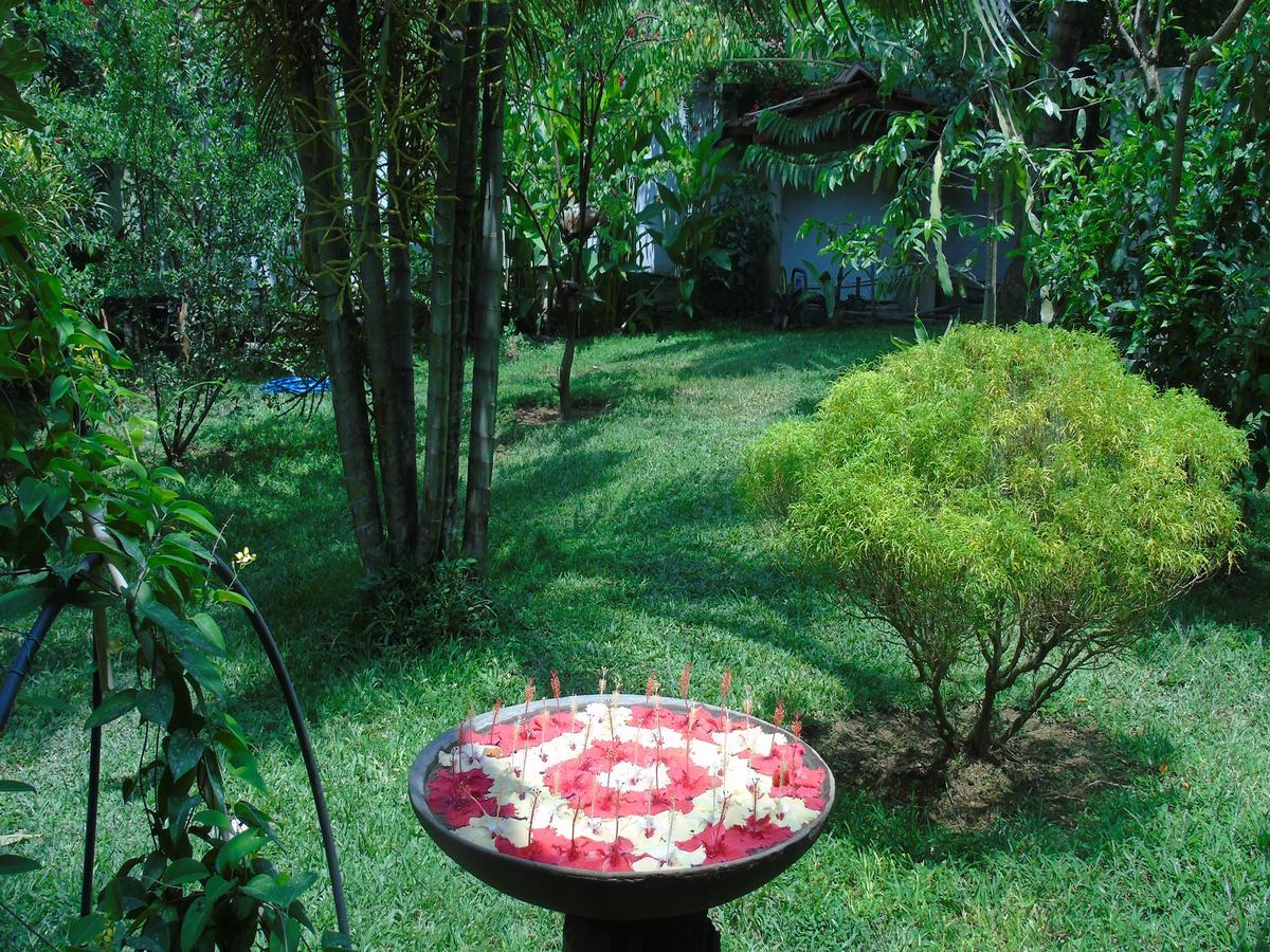 Talalla Secret Bay Hotel Matara Exterior foto