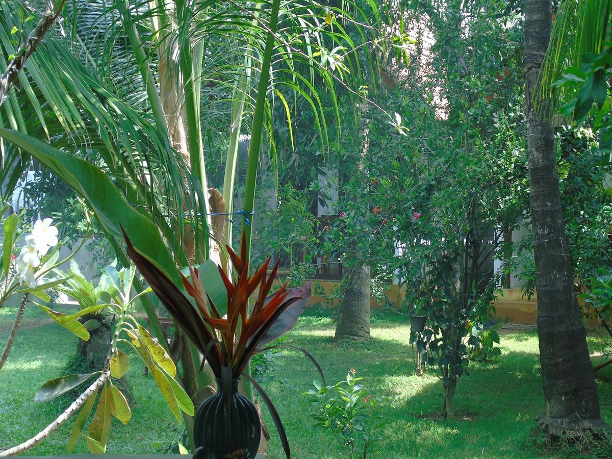 Talalla Secret Bay Hotel Matara Exterior foto